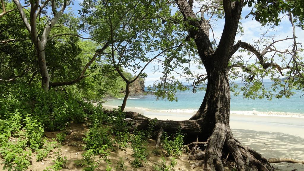 كوكو Hotel Colono Beach المظهر الخارجي الصورة